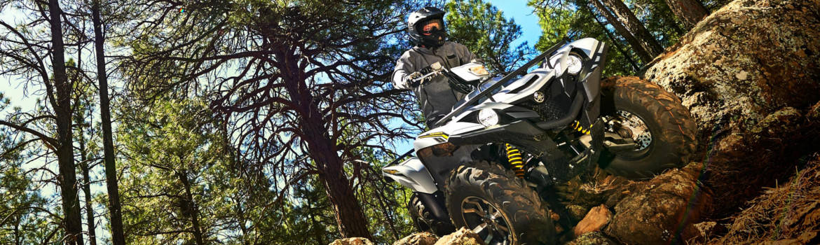 2017 Yamaha Grizzly for sale in Hilmerson Sports Center, Little Falls, Minnesota